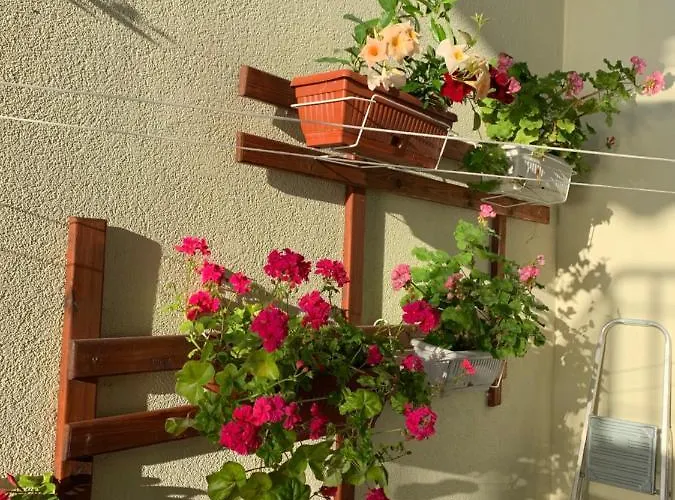 Apartamento Sea Sunshine