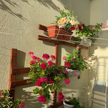 Appartement Sea Sunshine